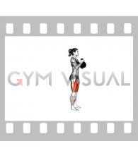 Kettlebell Rear Lunge (female)