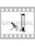Cable Incline Biceps Curl (female)