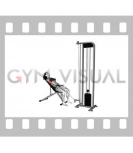 Cable Incline Biceps Curl (female)