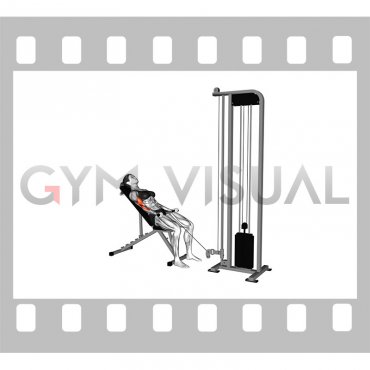 Cable Incline Biceps Curl (female)