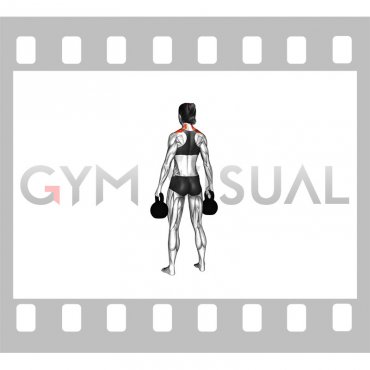 Kettlebell Shrug (female)