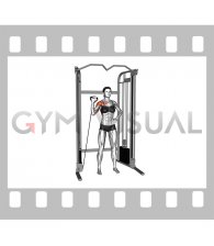 Cable Single Arm Military Press (female)
