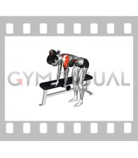 Weighted Dumbbell Shoulder Pendulum (female)