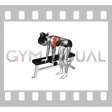 Weighted Dumbbell Shoulder Pendulum (female)