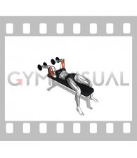 Dumbbell Lying Triceps Extension Skull Crusher (VERSION 2) (female)