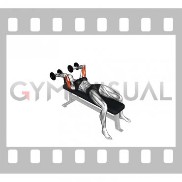 Dumbbell Lying Triceps Extension Skull Crusher (VERSION 2) (female)