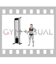 Cable Shoulder Internal Rotation (female)