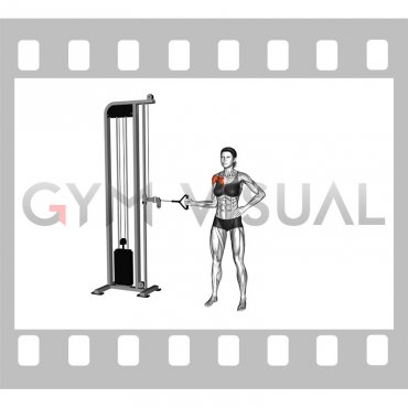Cable Shoulder Internal Rotation (female)