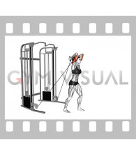 Cable Standing Neutral Grip Overhead Triceps Extension (female)