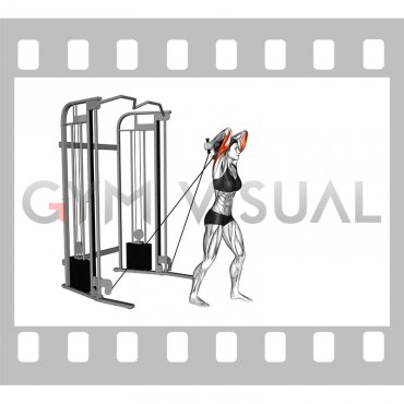 Cable Standing Neutral Grip Overhead Triceps Extension (female)