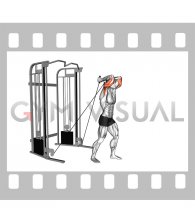 Cable Standing Neutral Grip Overhead Triceps Extension (male)
