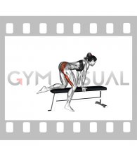 Bench Hip Extension (female)