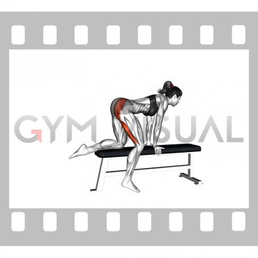 Bench Hip Extension (female)