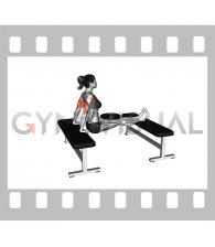 Weighted Bench Dip (female)