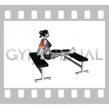 Weighted Bench Dip (female)
