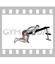 Bodyweight Lying Decline Bench Reverse Hyperextension