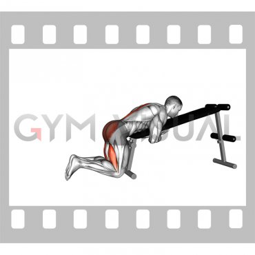 Bodyweight Lying Decline Bench Reverse Hyperextension