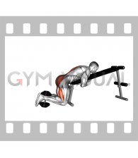 Weighted Dumbbell Lying Decline Bench Reverse Hyperextension