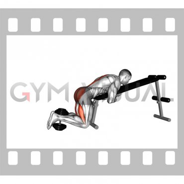 Weighted Dumbbell Lying Decline Bench Reverse Hyperextension