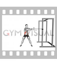 Band Standing Torso Rotation (male)