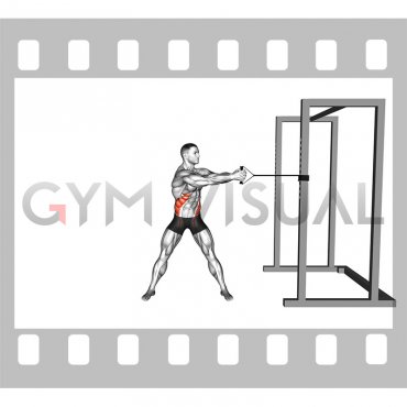 Band Standing Torso Rotation (male)