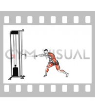 Cable Rotary Pull (male)