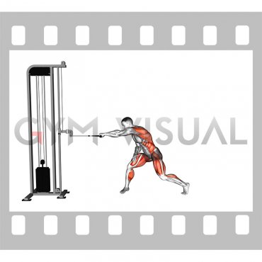 Cable Rotary Pull (male)