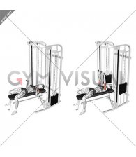 Cable Bench Press (female)