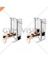 Cable Bench Press (female)