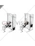 Cable Incline Bench Press (female)