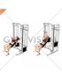 Cable Incline Bench Press (female)