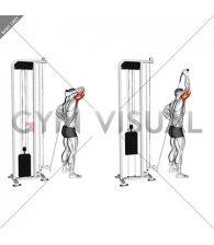 Cable Overhead Single Arm Triceps Extension (rope attachment)