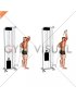 Cable Overhead Single Arm Triceps Extension (rope attachment)
