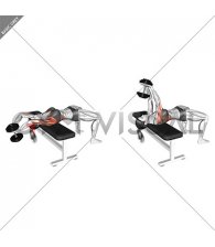 Dumbbell Straight Arm Pullover (VERSION 2) (female)