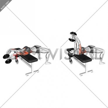 Dumbbell Straight Arm Pullover (VERSION 2) (female)