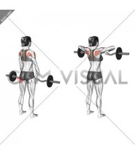 EZ-Bar Standing Upright Row (female)