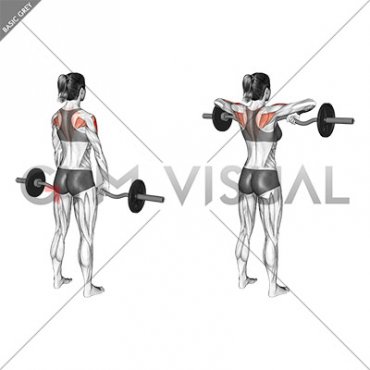 EZ-Bar Standing Upright Row (female)