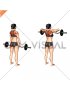 EZ-Bar Standing Upright Row (female)