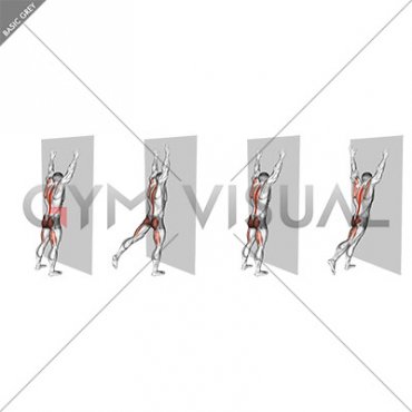Opposite Arm and Leg Raise against Wall (male)