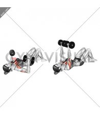 Dumbbell Lying on Floor Chest Press (female)