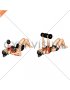 Dumbbell Lying on Floor Chest Press (female)