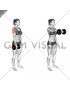 Dumbbell One Arm Front Raise (female)