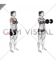 Dumbbell One Arm Front Raise (female)