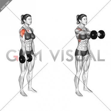 Dumbbell One Arm Front Raise (female)