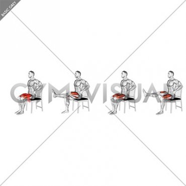 Seated Alternate Knee Extension on Chair (male)