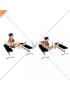 Triceps Dip (bench leg) (female)