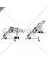 Weighted Plate Hyperextension (VERSION 2)