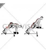 Weighted Plate Hyperextension (VERSION 2)