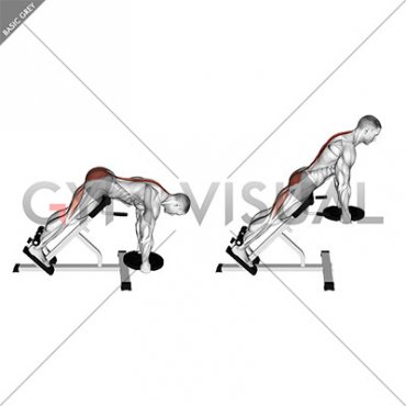 Weighted Plate Hyperextension (VERSION 2)