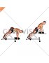Weighted Plate Hyperextension (VERSION 2)